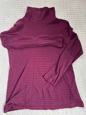 J. Crew Red and Navy Striped Turtleneck Top